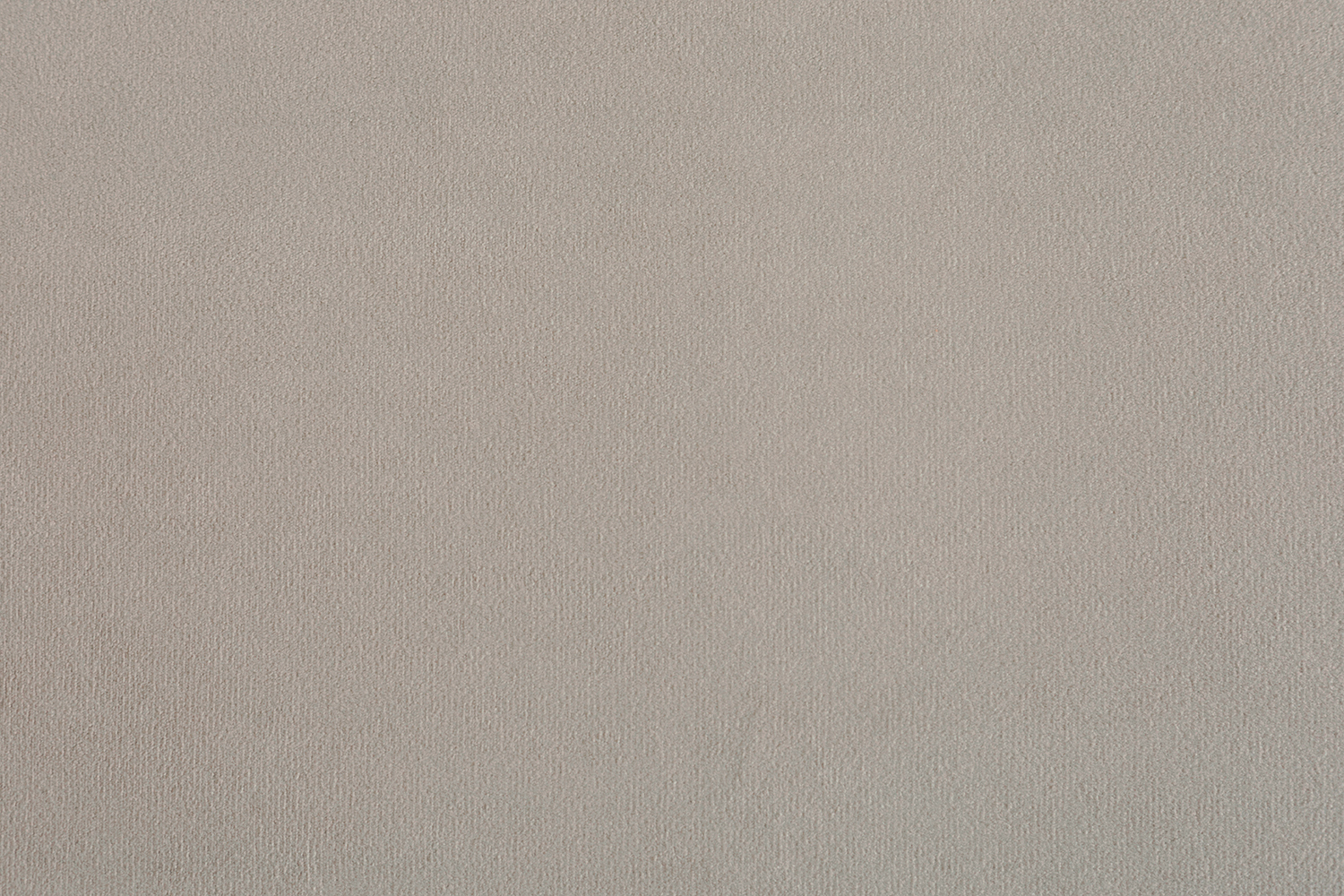 Parma 1002 Powder