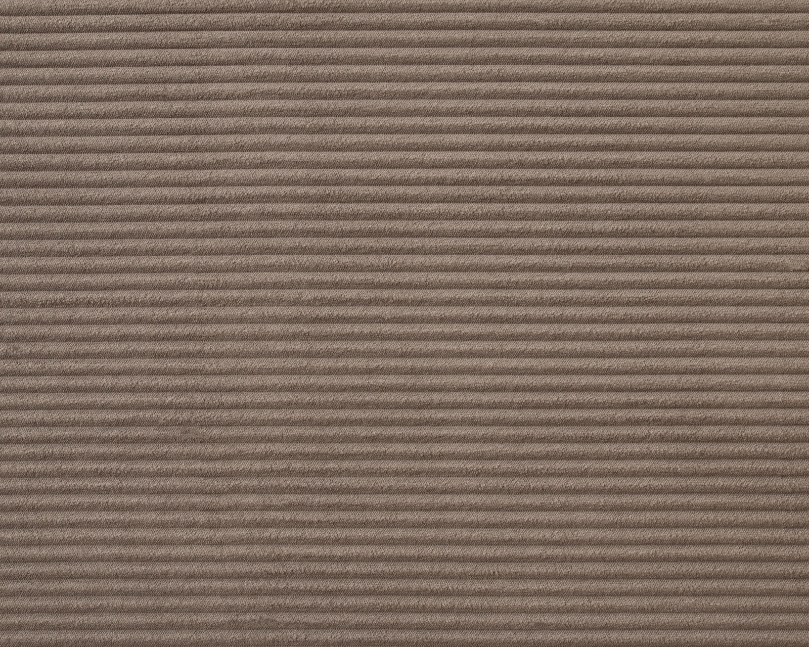 Cilium CILIUM BROWN