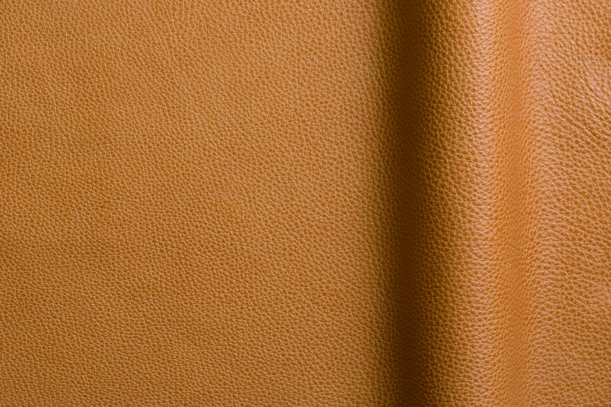 Symphony Safran