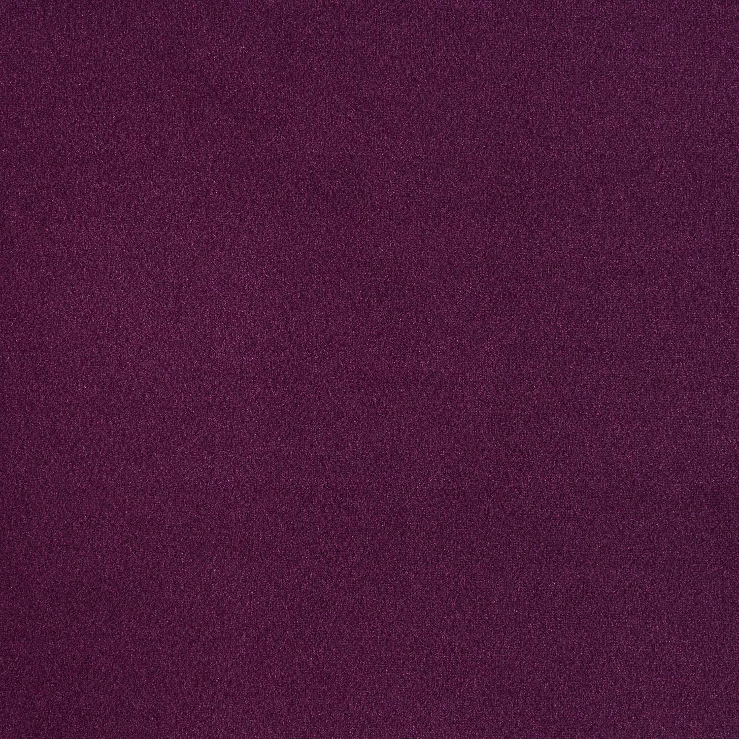 Catalana 11