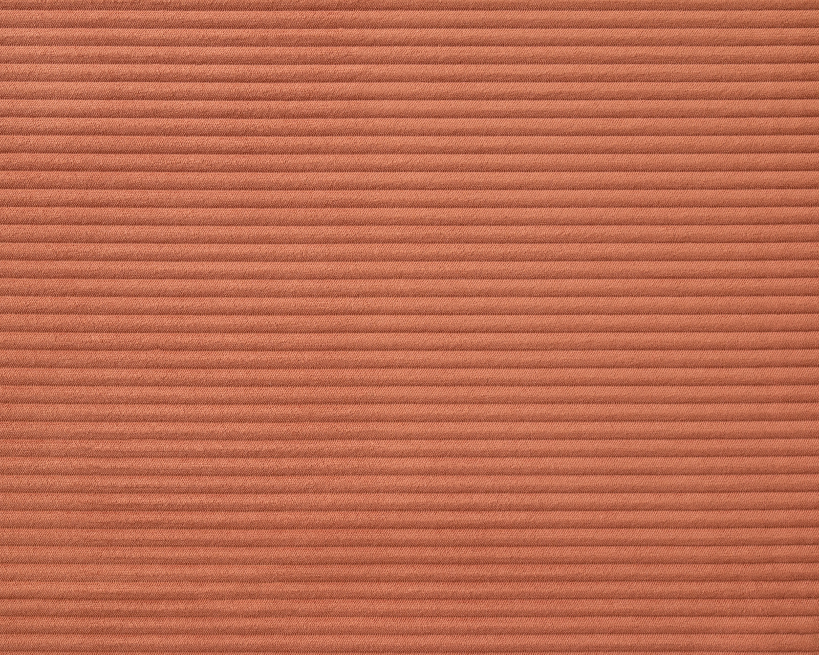 Cilium CILIUM CLAY