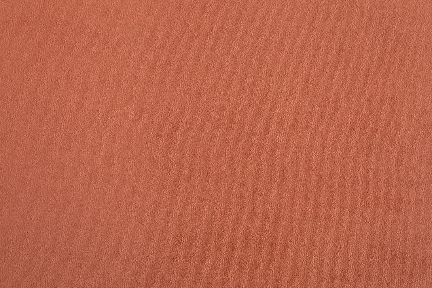 Parma 1022 Carrot