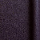 Symphony Purple