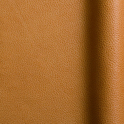 Symphony Safran