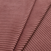 Cilium CILIUM CORAL